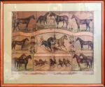 Currier and Ives 'Star of the Trotting Track' c. 1886 Lithograph - Image 2