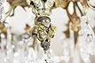 Maison Bague Style Gilt Bronze Chandelier - Image 5